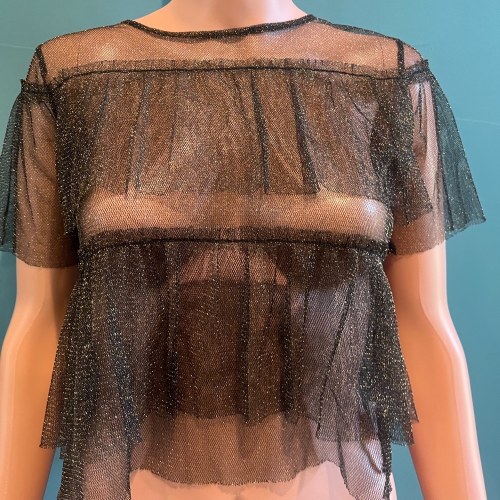 Sheer Sparkly Blouse